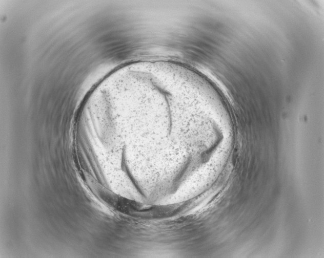 X0000087001477200705141753