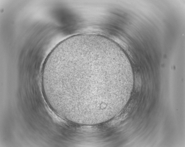 X0000087001478200705141753