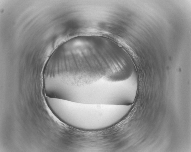 X0000087001479200705141753