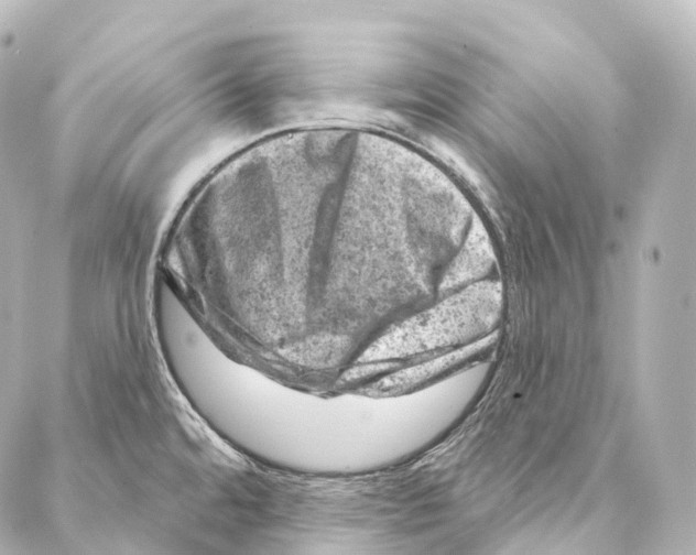 X0000087001480200705141753