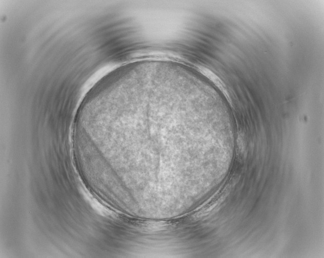 X0000087001482200705141753