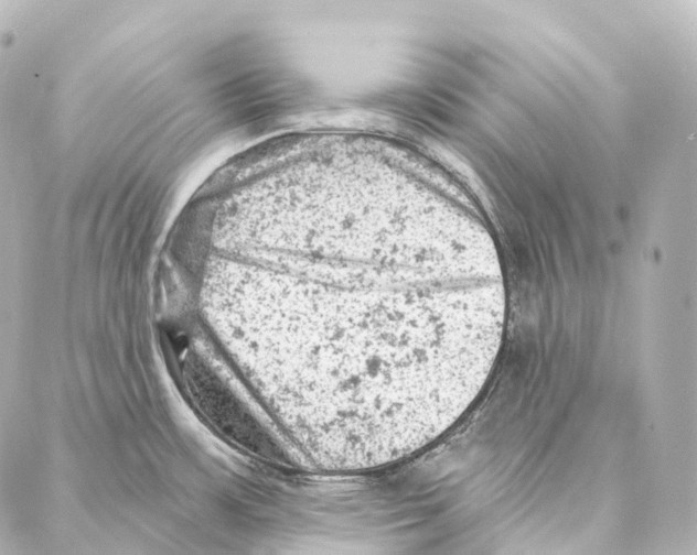 X0000087001483200705141753