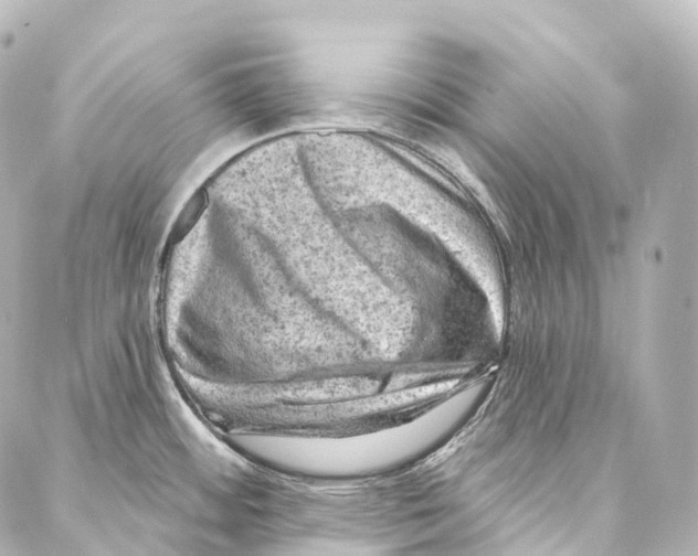 X0000087001484200705141753