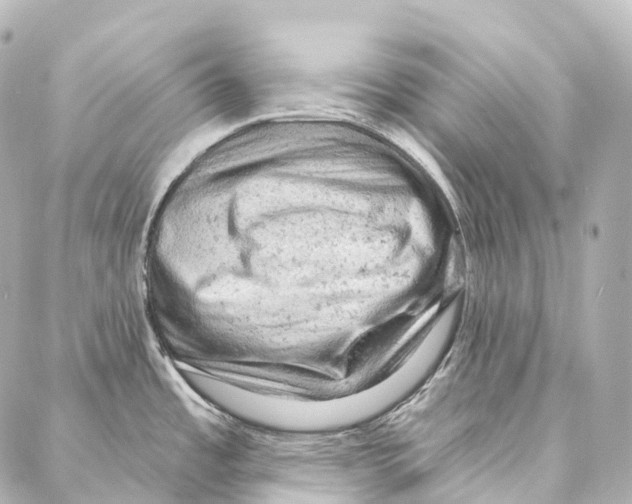 X0000087001485200705141753