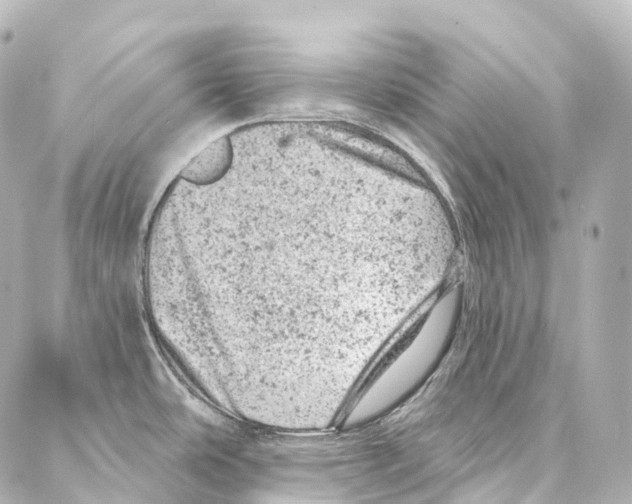 X0000087001486200705141753