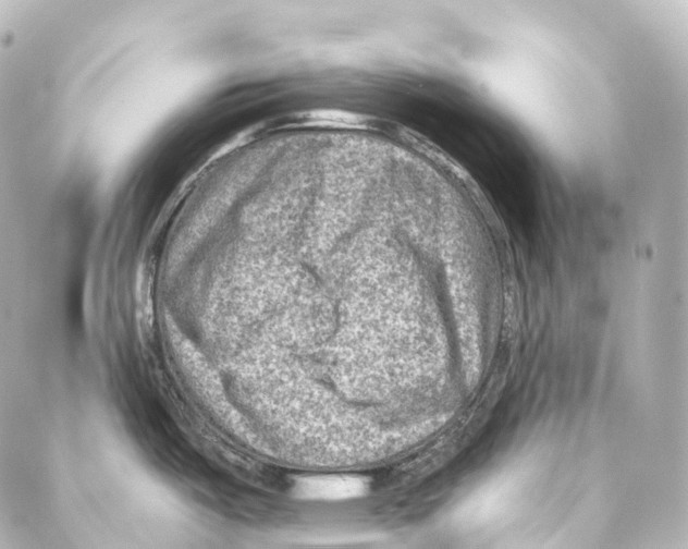 X0000087001487200705141753