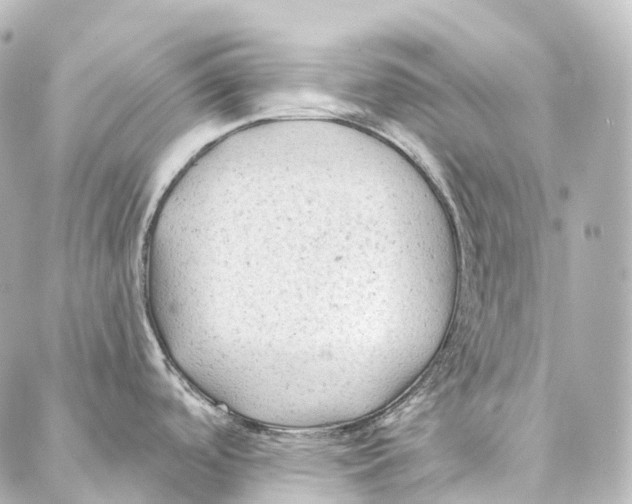 X0000087001488200705141753