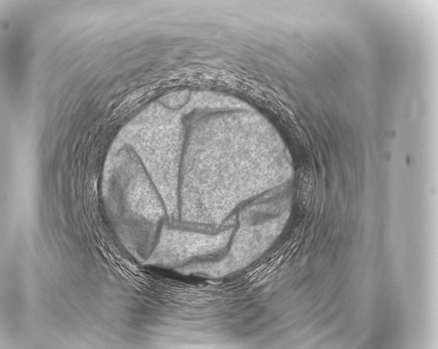 X0000087001489200705141752