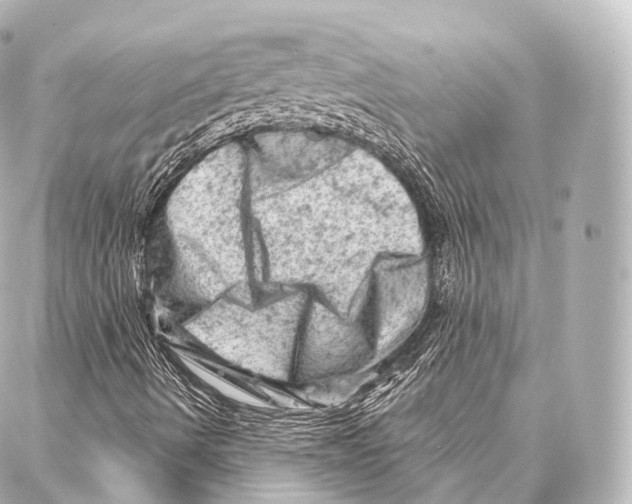 X0000087001490200705141753