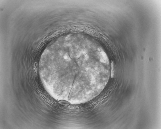 X0000087001491200705141753