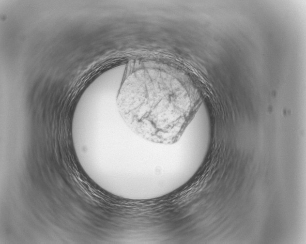 X0000087001492200705141753