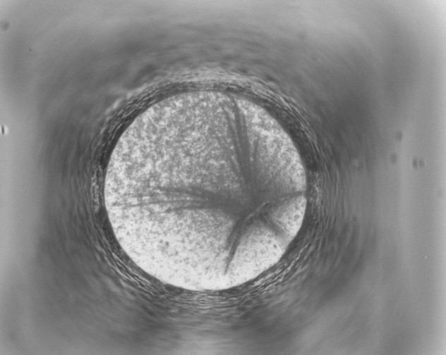 X0000087001493200705141753