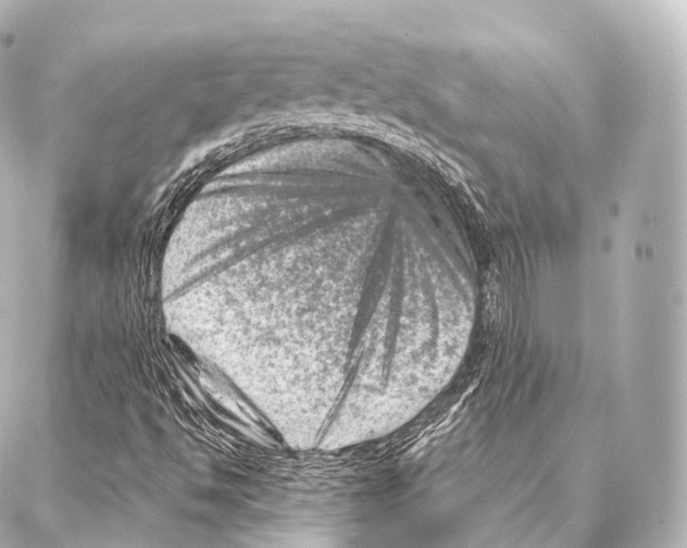 X0000087001494200705141753