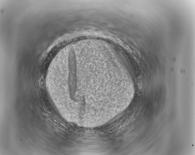 X0000087001495200705141753