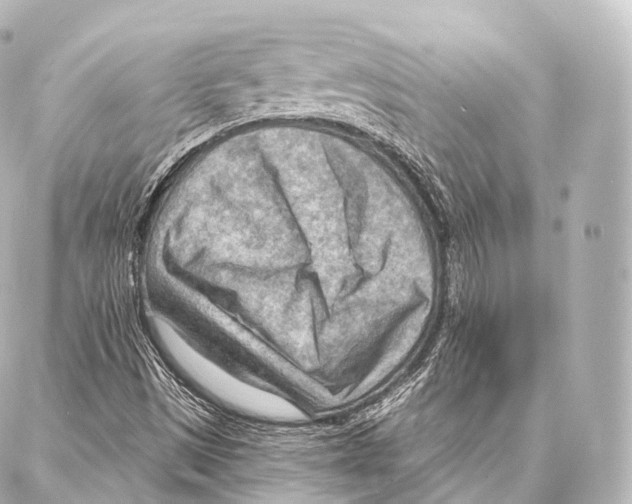 X0000087001497200705141753