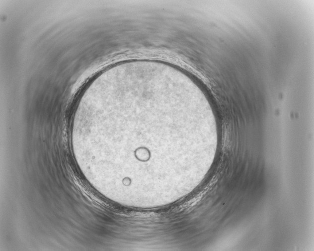 X0000087001498200705141753