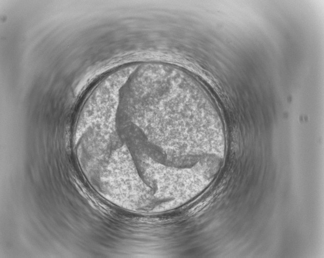 X0000087001499200705141753