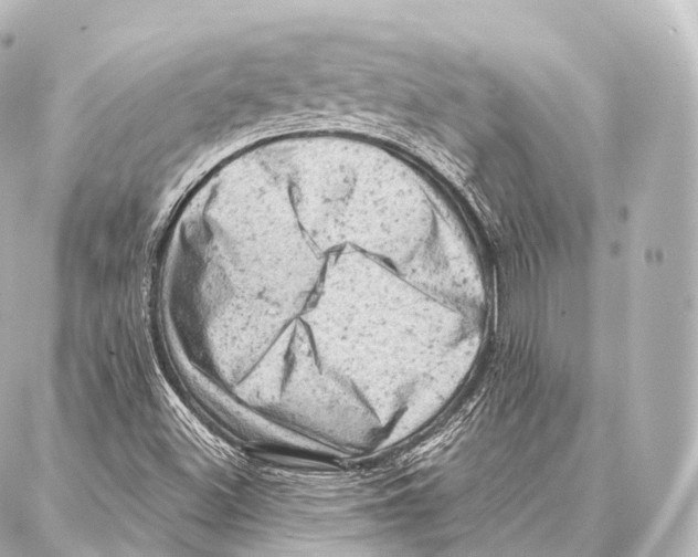 X0000087001500200705141753