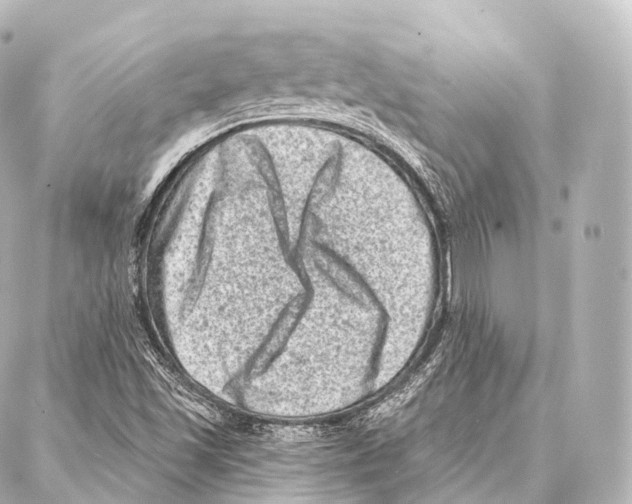 X0000087001501200705141753