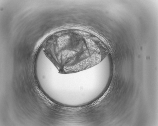 X0000087001502200705141753