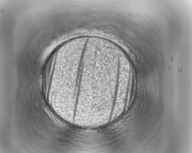 X0000087001503200705141753