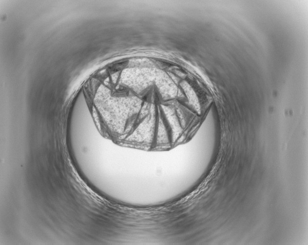 X0000087001504200705141753