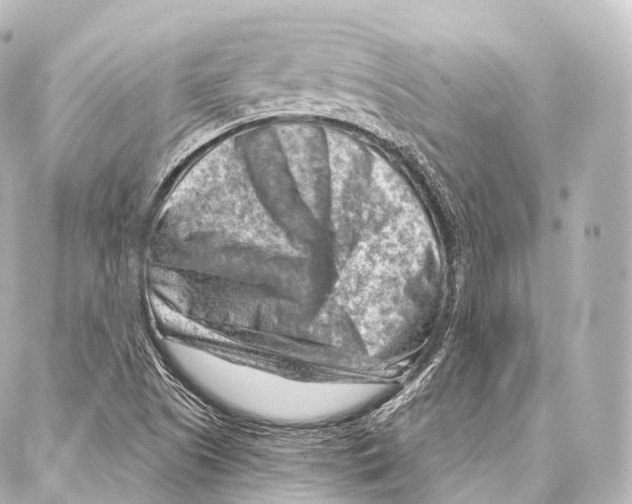 X0000087001505200705141753