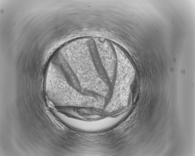 X0000087001507200705141753