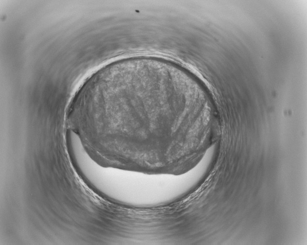 X0000087001508200705141753