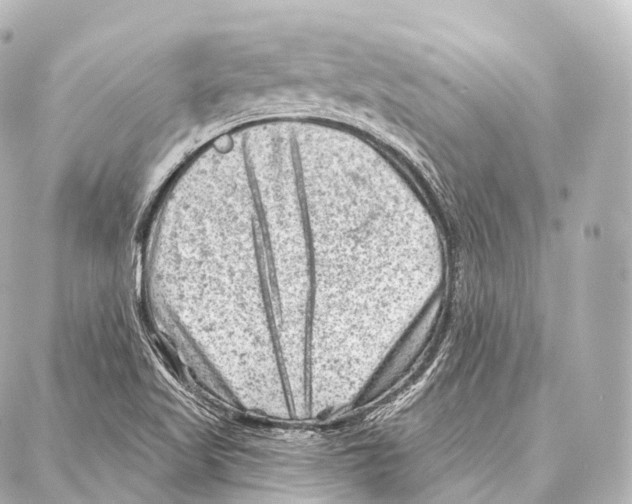 X0000087001509200705141753