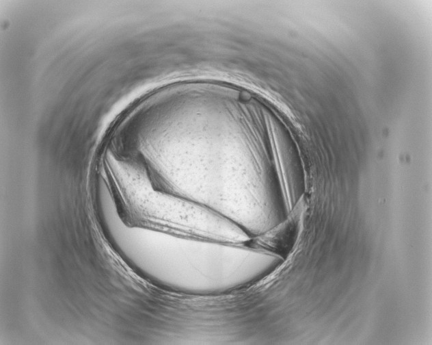 X0000087001510200705141753