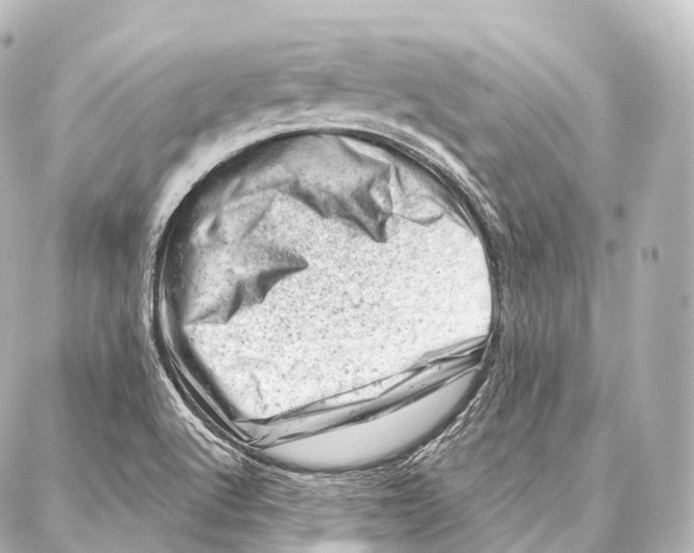 X0000087001512200705141753