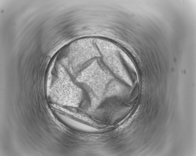 X0000087001513200705141753