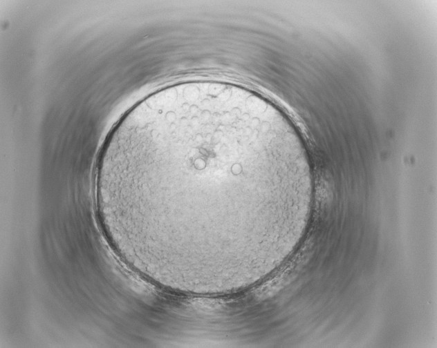 X0000087001514200705141753