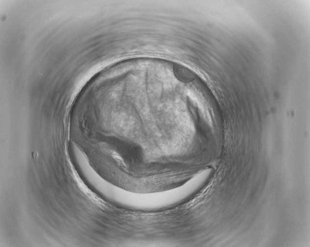 X0000087001515200705141753