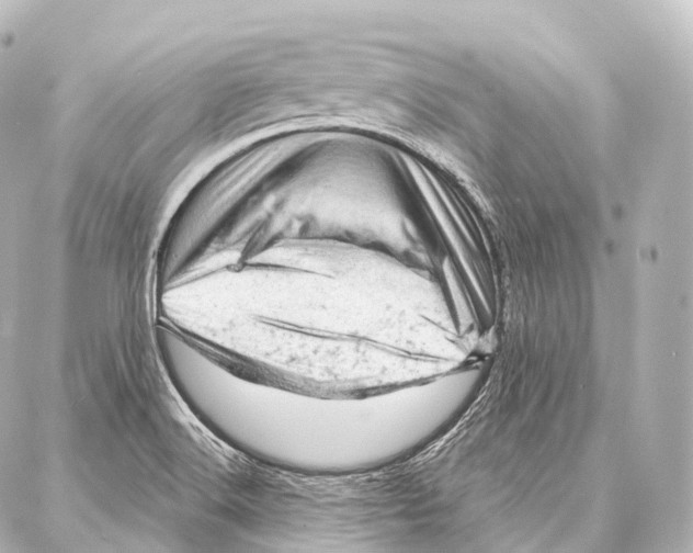 X0000087001516200705141753