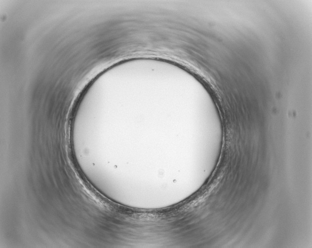 X0000087001517200705141753