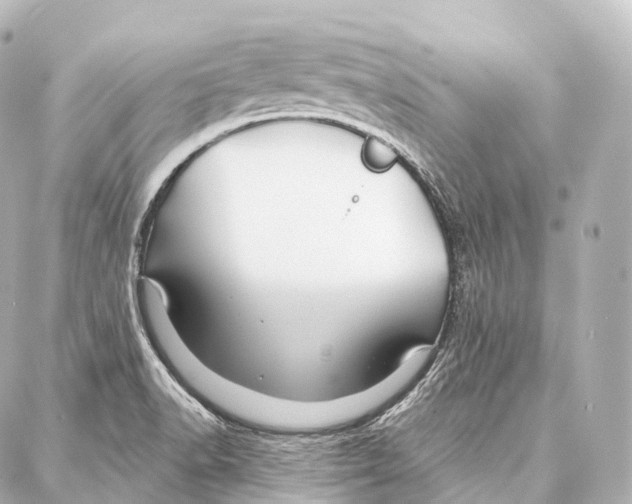 X0000087001518200705141753