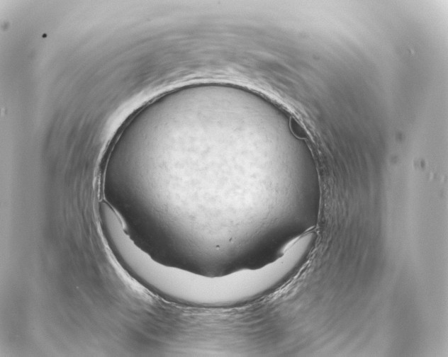 X0000087001519200705141753