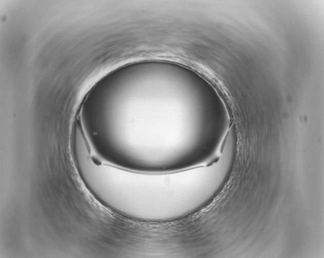 X0000087001520200705141753