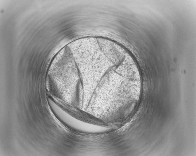 X0000087001521200705141753