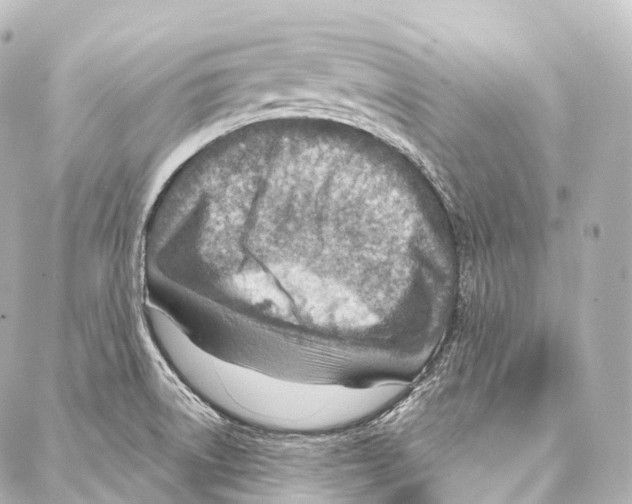 X0000087001522200705141753