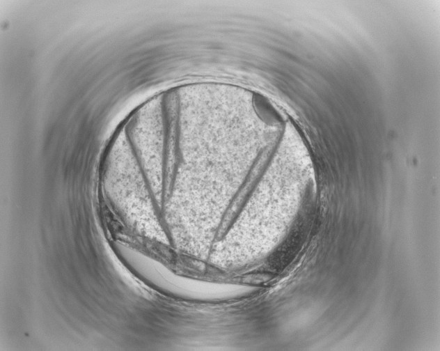 X0000087001523200705141753