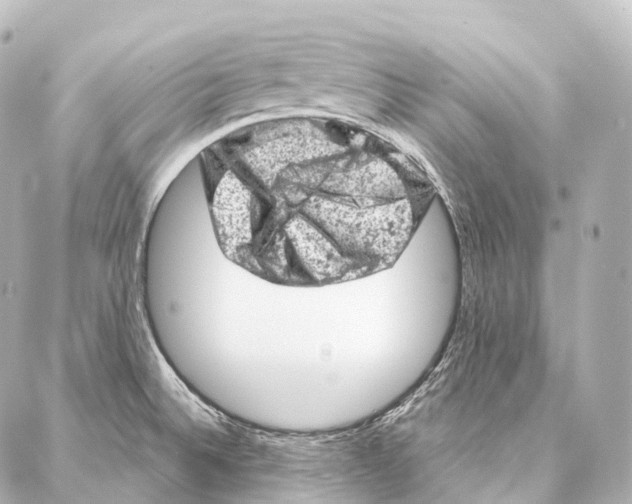 X0000087001524200705141753