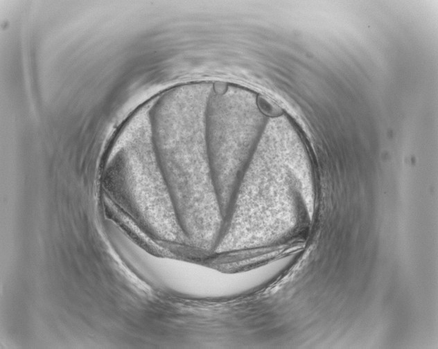 X0000087001525200705141753