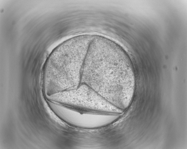 X0000087001526200705141753