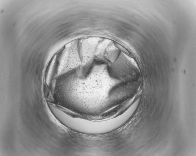 X0000087001528200705141753