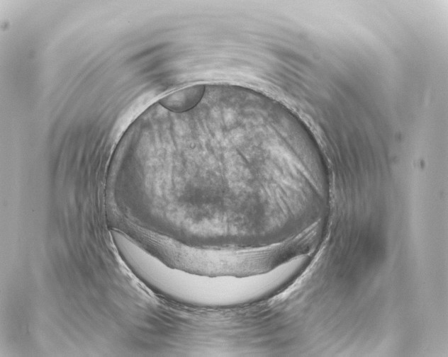 X0000087001529200705141753