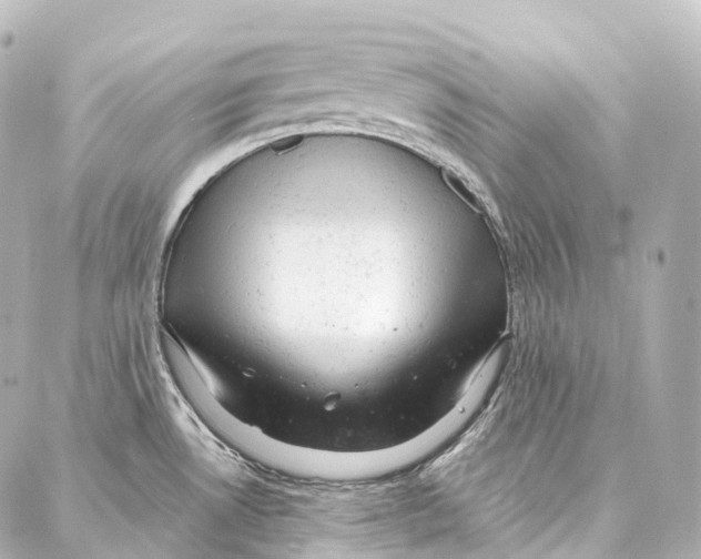 X0000087001530200705141753