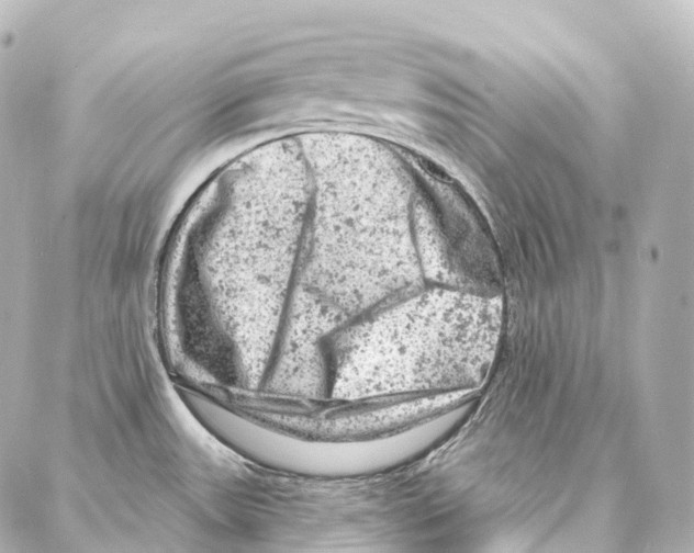 X0000087001531200705141753